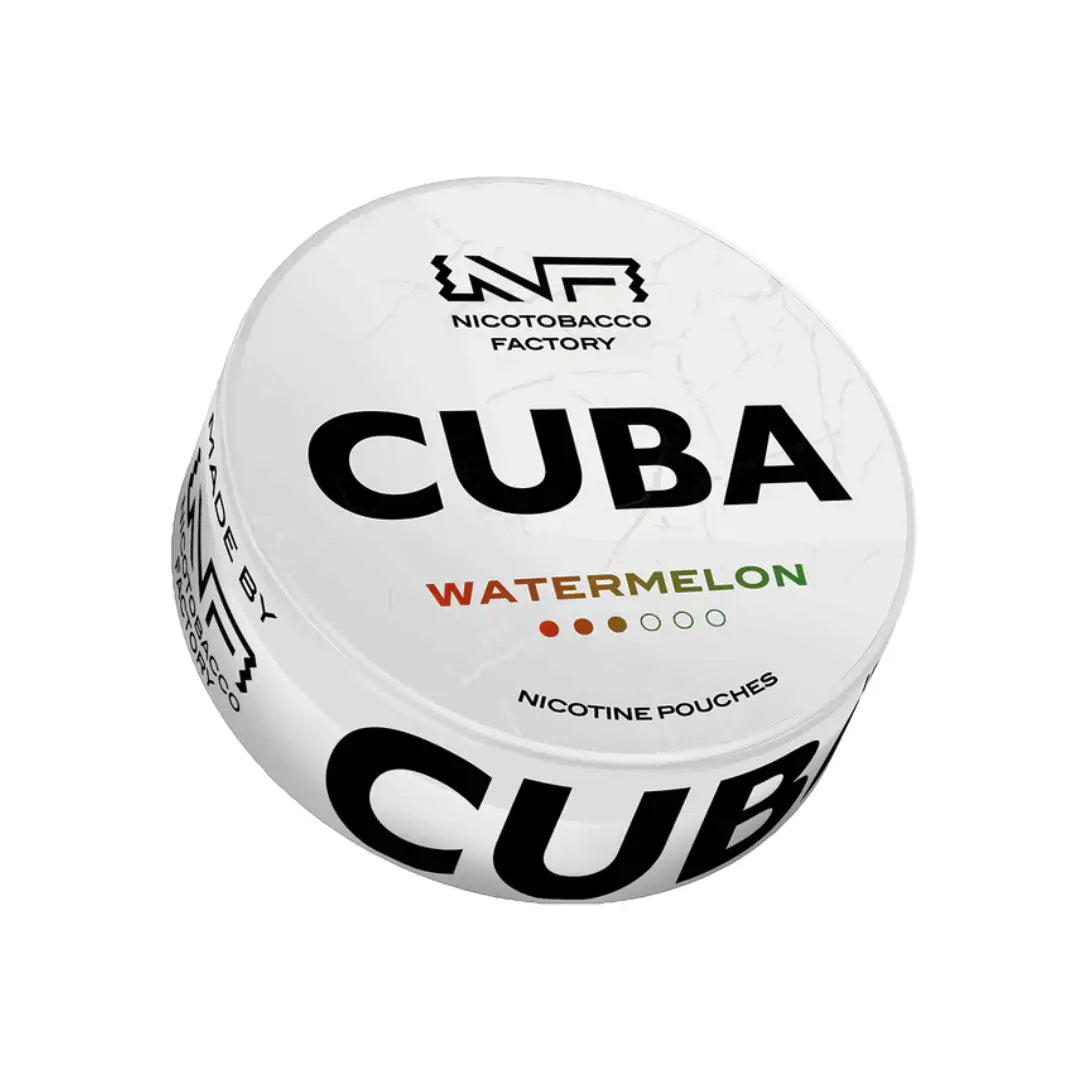 Fresh Cuba White Watermelon from Europesnus.com, showcasing its round shape and green rind with a glimpse of pink flesh inside.