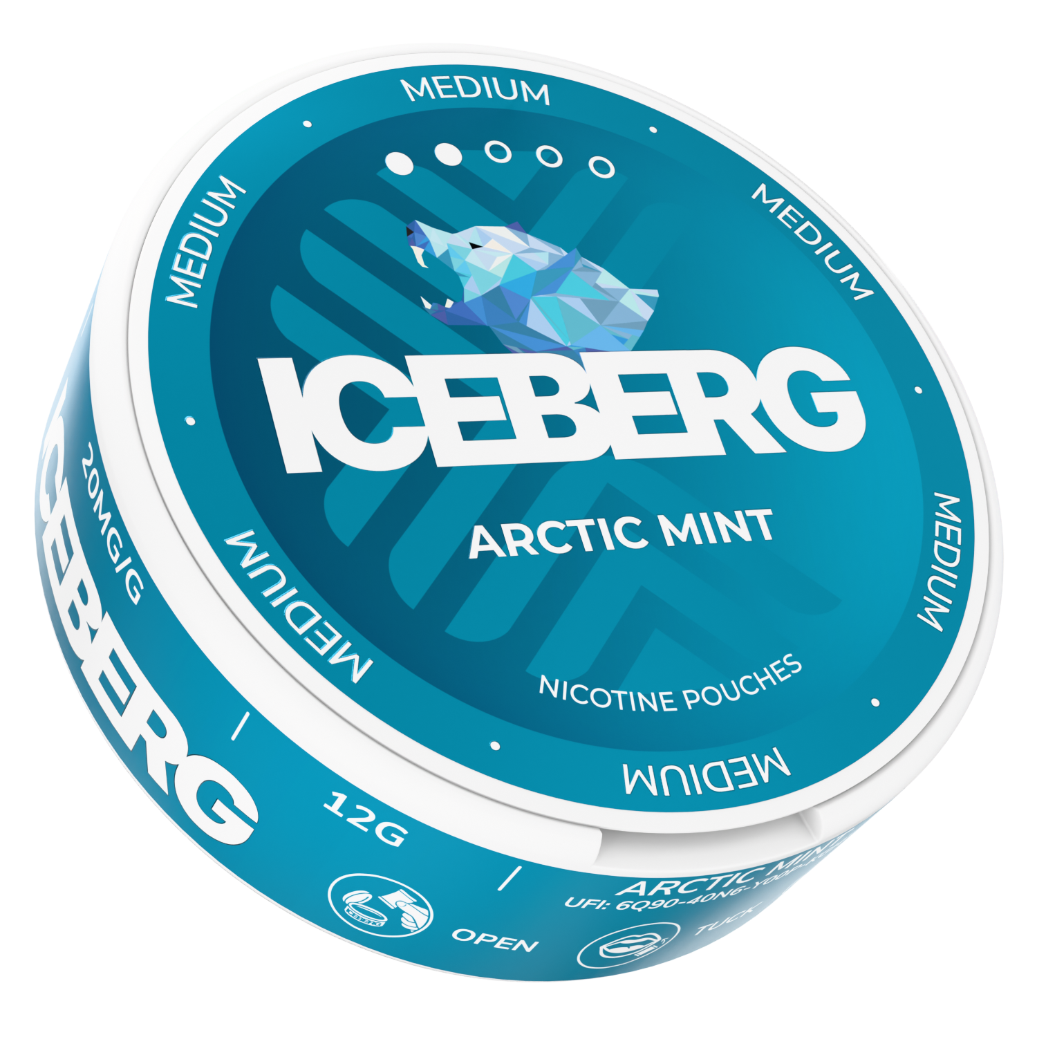 Close-up of the Iceberg Arctic Mint 20mg packaging highlighting the refreshing mint flavor.