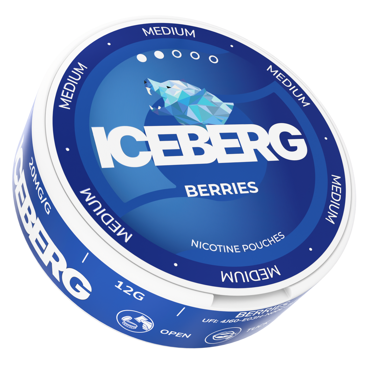 Front view of the Iceberg Berries 20mg can featuring bold text and an iceberg graphic in blue and white.