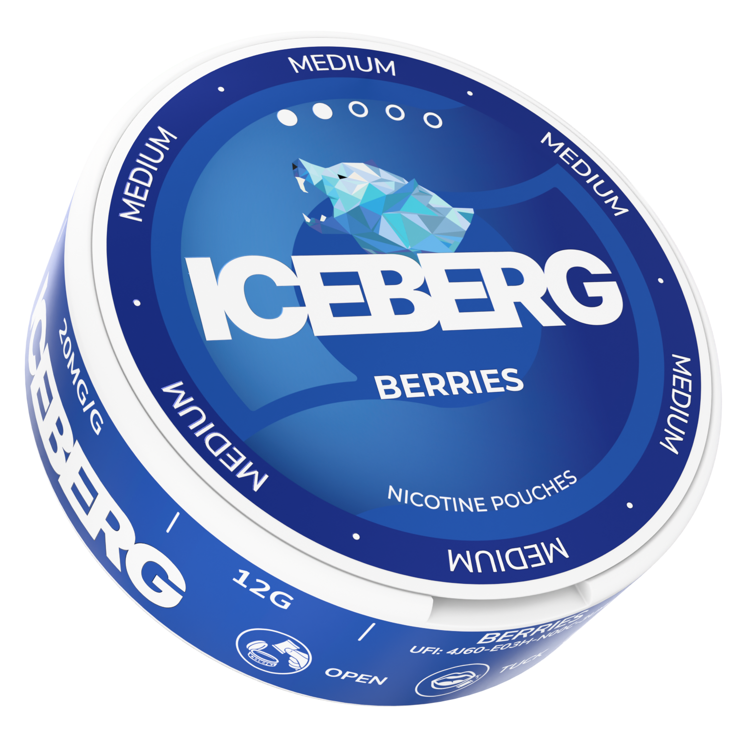 Front view of the Iceberg Berries 20mg can featuring bold text and an iceberg graphic in blue and white.