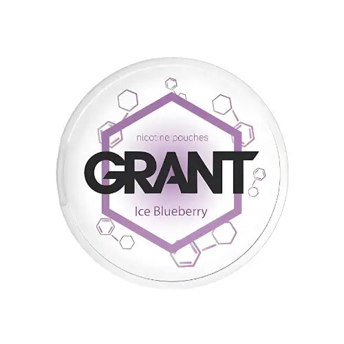 Garant Ice Blueberry flavored ice product in a clear container, showcasing blueberries and icy texture.