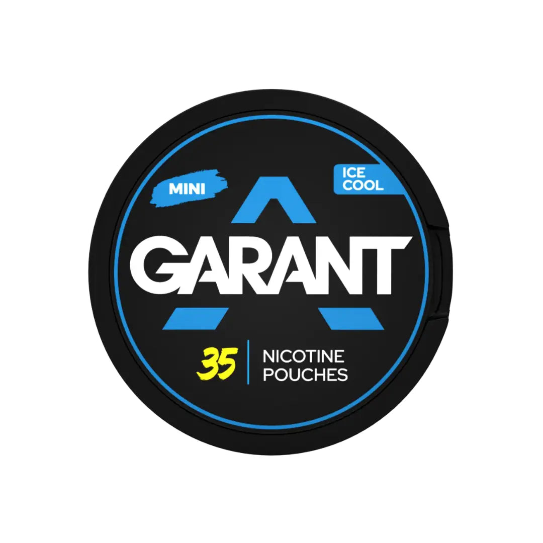 Garant Ice Cool Mini by Europesnus.com, compact ice cooler with sleek design, portable for outdoor and travel use.